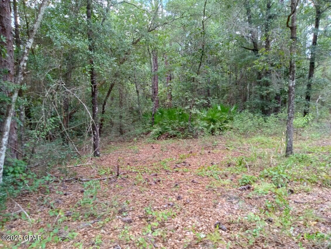 Image 9 For Lot 7 & 8 Yellow Poplar Avenue