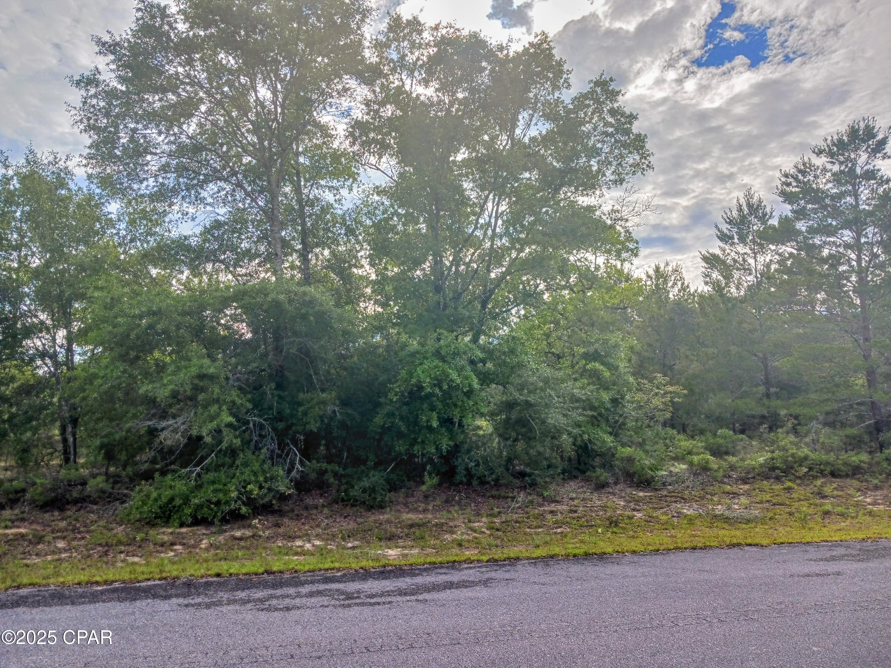 Details for Lot 20 Velvet Drive, Chipley, FL 32428