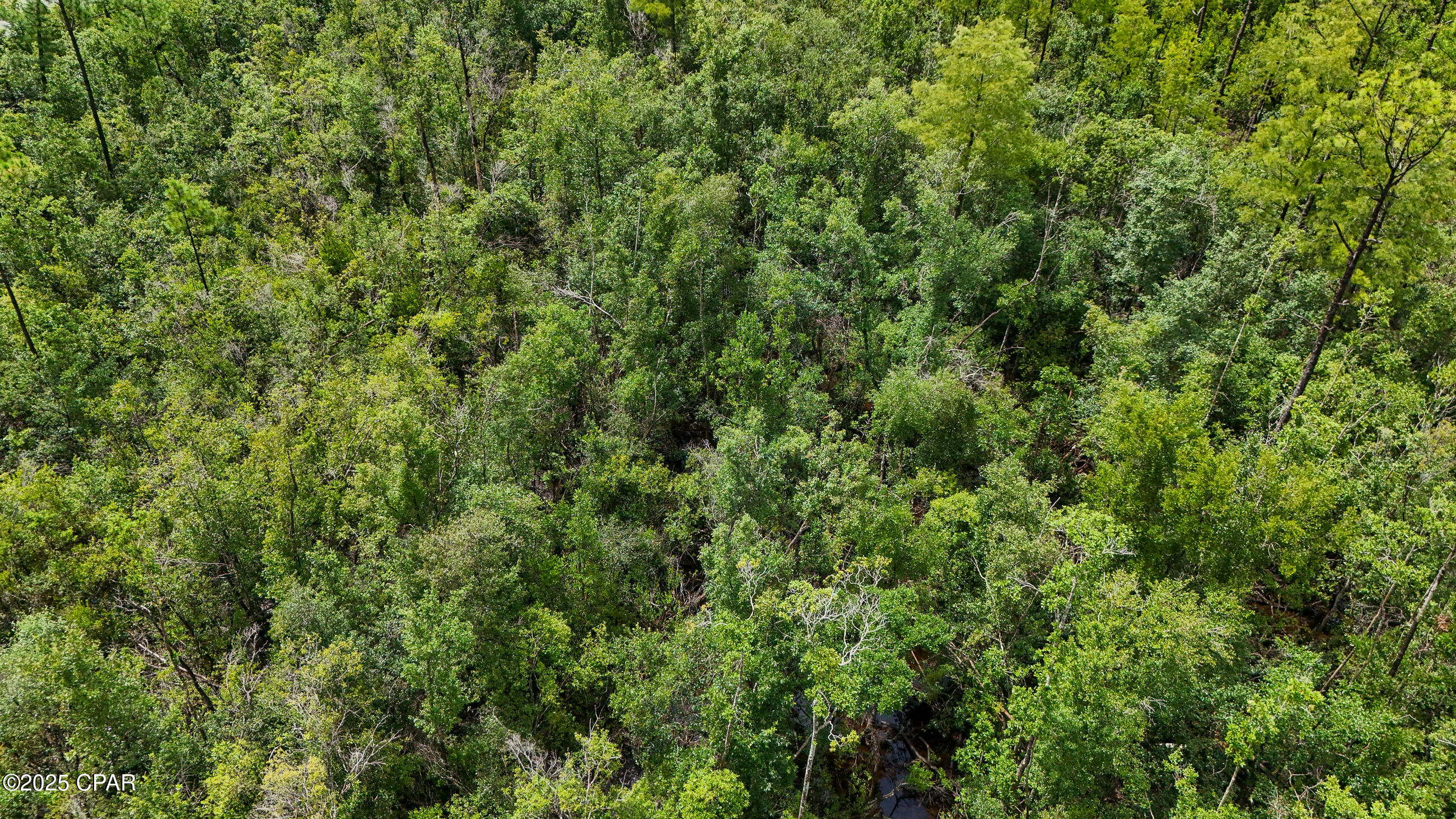 Image 7 For Tbd Cowels Road