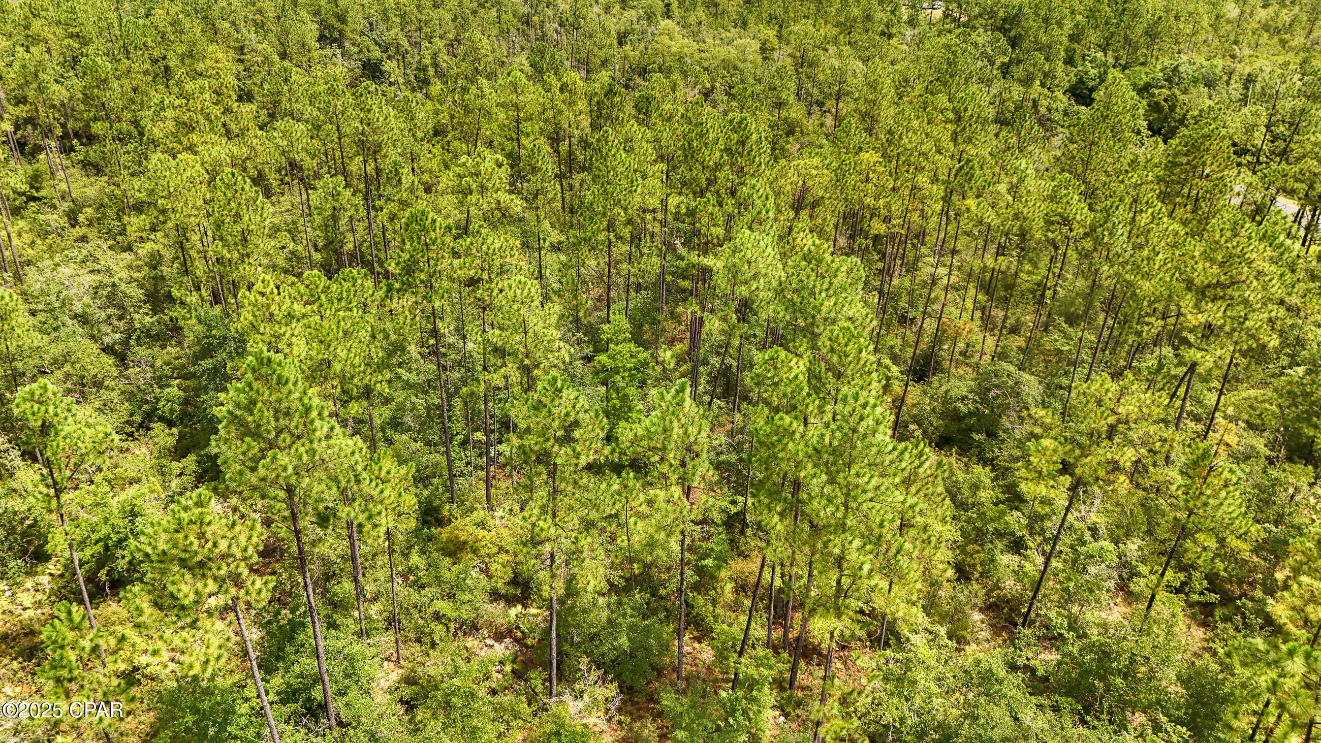 Image 9 For Tbd Cowels Road