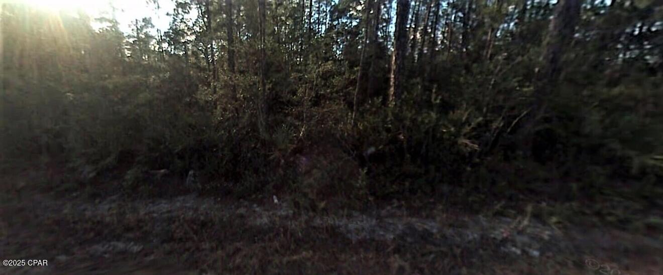 Image 2 For 0 Forest Drive