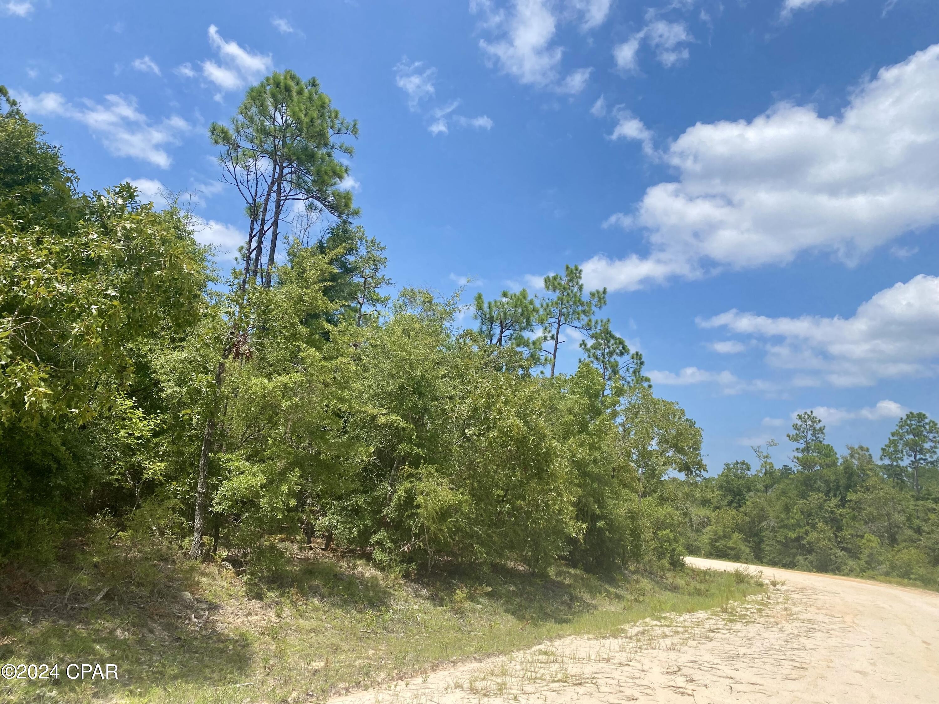 Homes for sale in Alford, FL | Lot 13 Noble Cir, Alford, FL 32420 | MLS# 761141