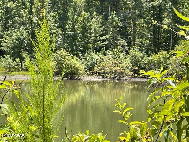 Image 2 For 0 Skyview Road