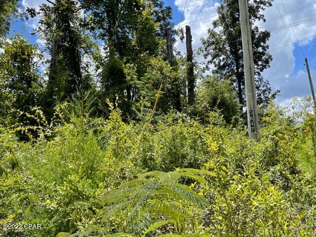 Image 4 For 0 Skyview Road