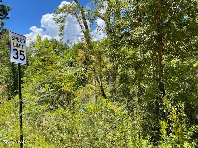 Image 8 For 0 Skyview Road