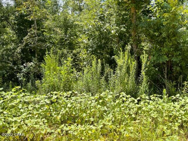 Image 9 For 0 Skyview Road