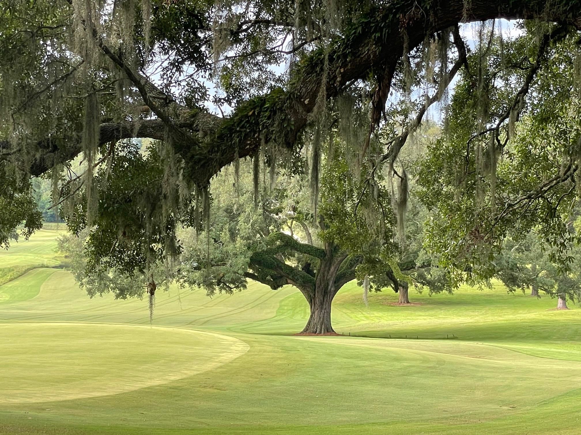Lot 2  Edenderry Drive , Tallahassee, FL, 32309