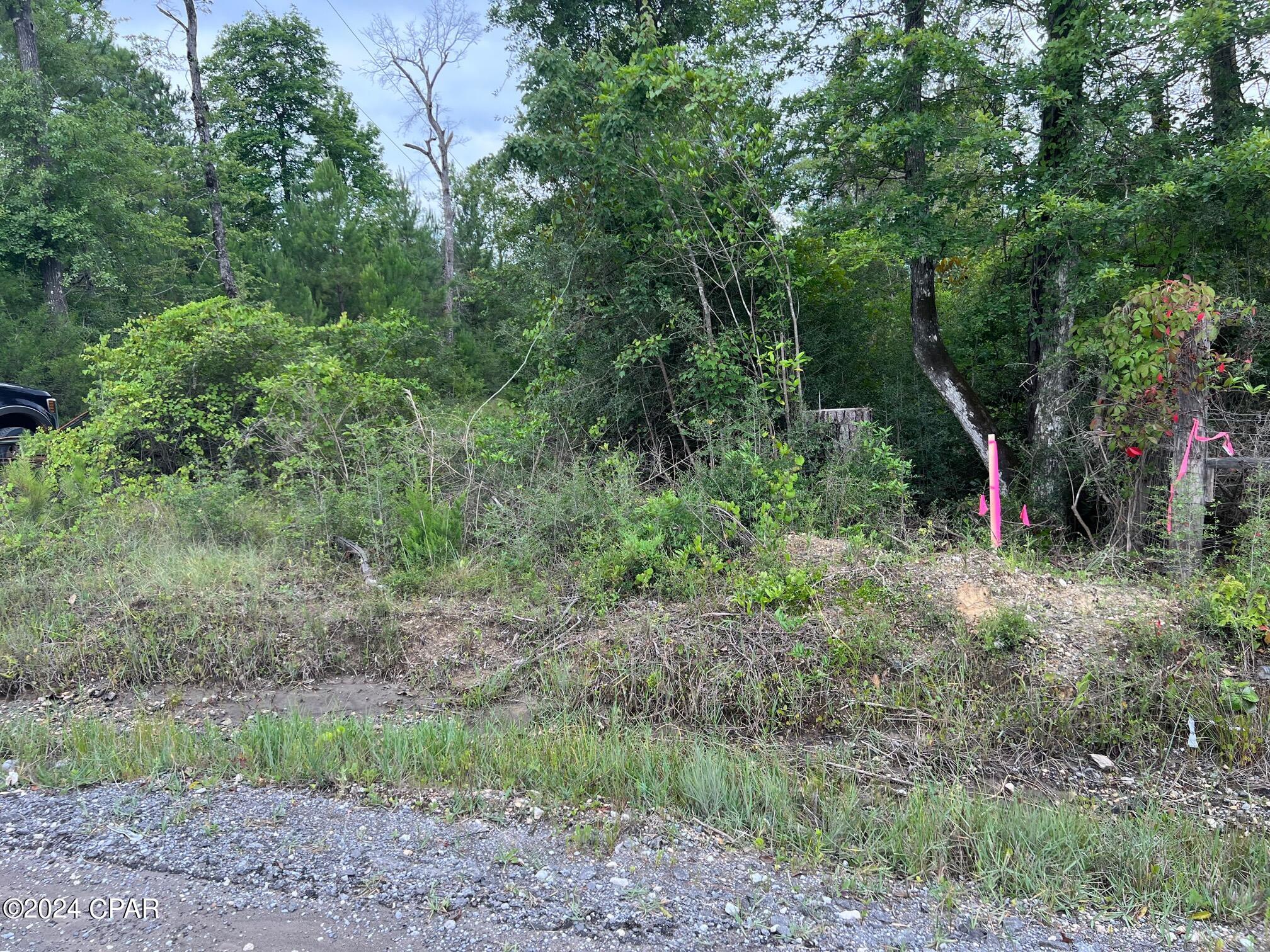 Image 4 For 11630 County Line Road