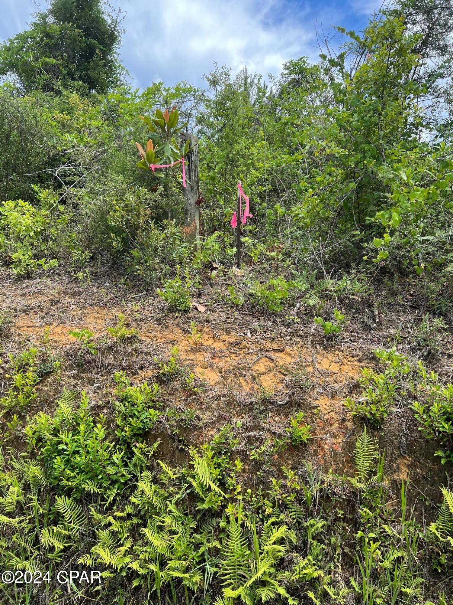 Image 5 For 11630 County Line Road