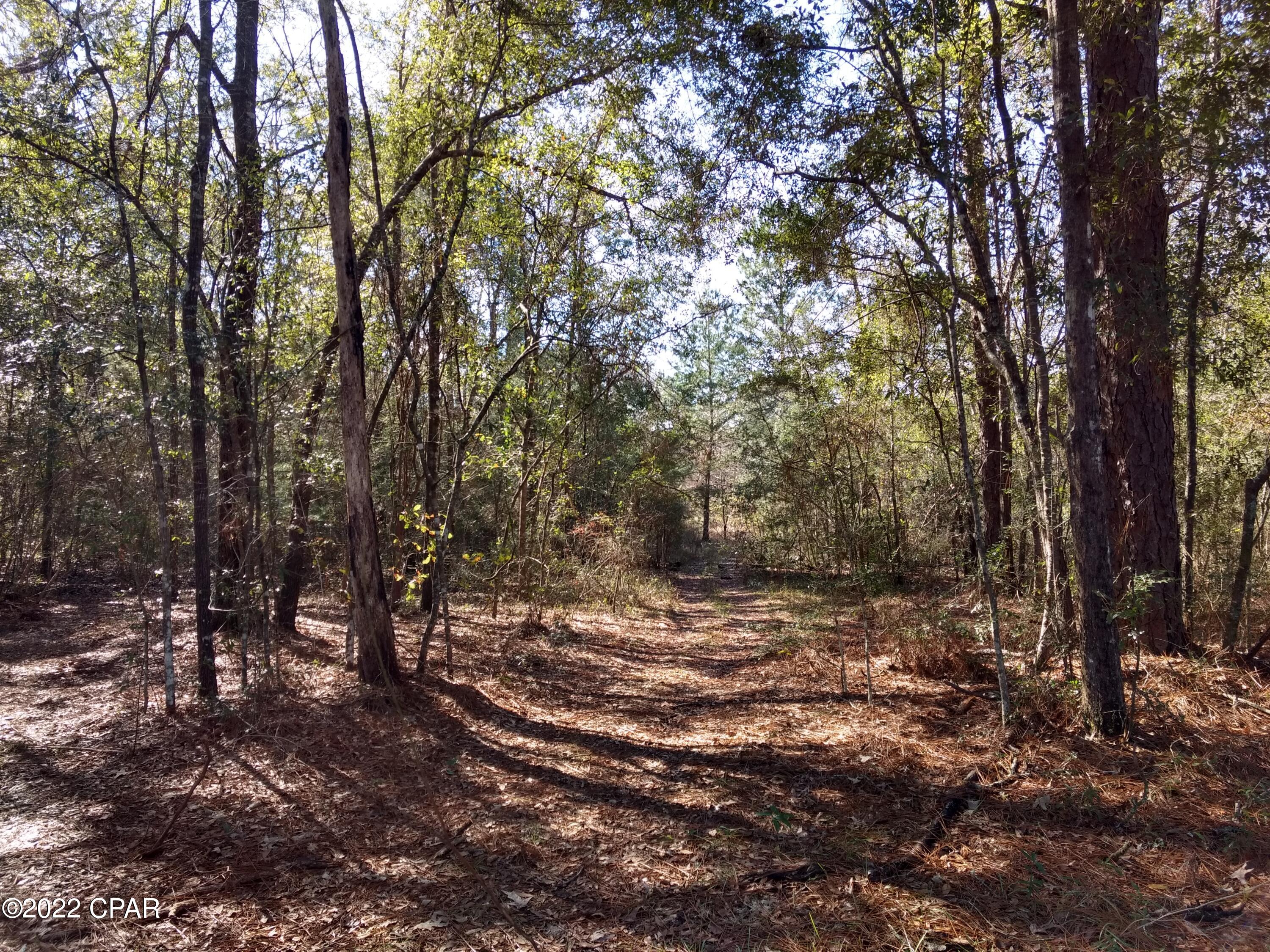 Image 6 For 00 Marian Drive