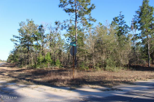 Details for 0 Rockford Drive Lot 5, Chipley, FL 32428