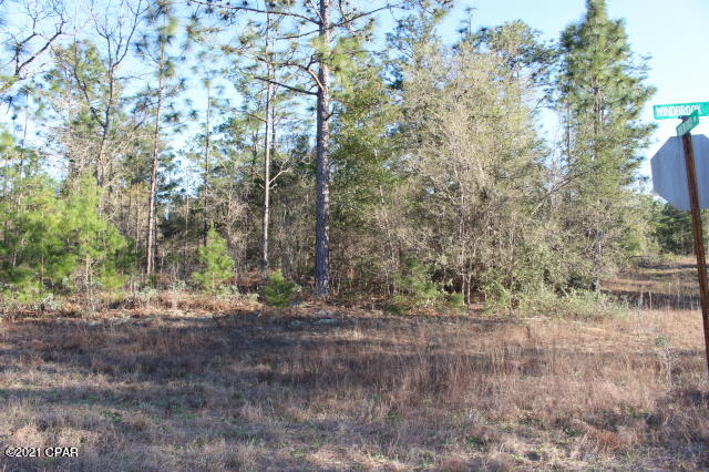 Image 4 For 0 Rockford Drive Lot 5
