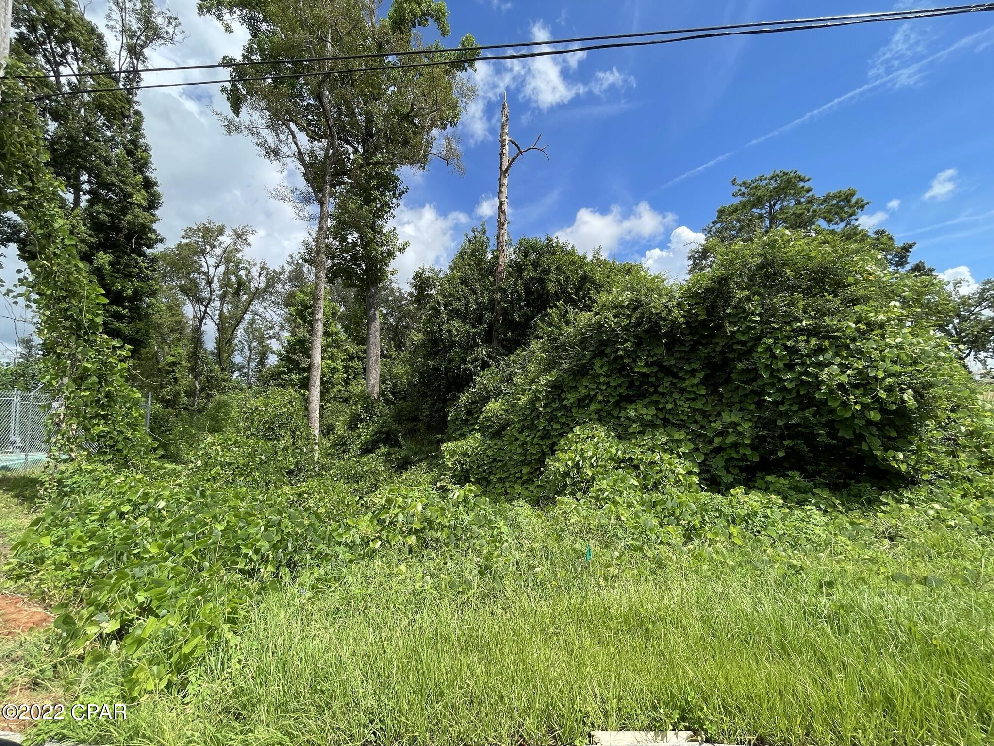 Image 4 For 00 Carters Mill Road