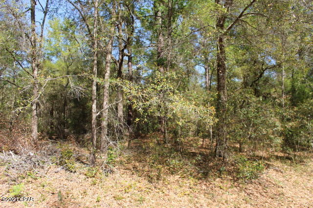 Image 7 For 2905 Gardenia Drive