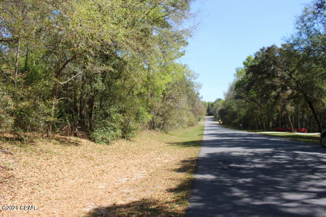 Image 8 For 2905 Gardenia Drive