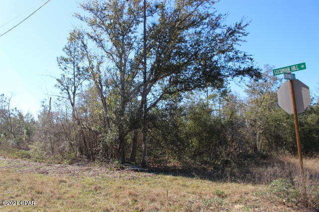 Details for 0 Goodman Hill Road Lot 45, Chipley, FL 32428