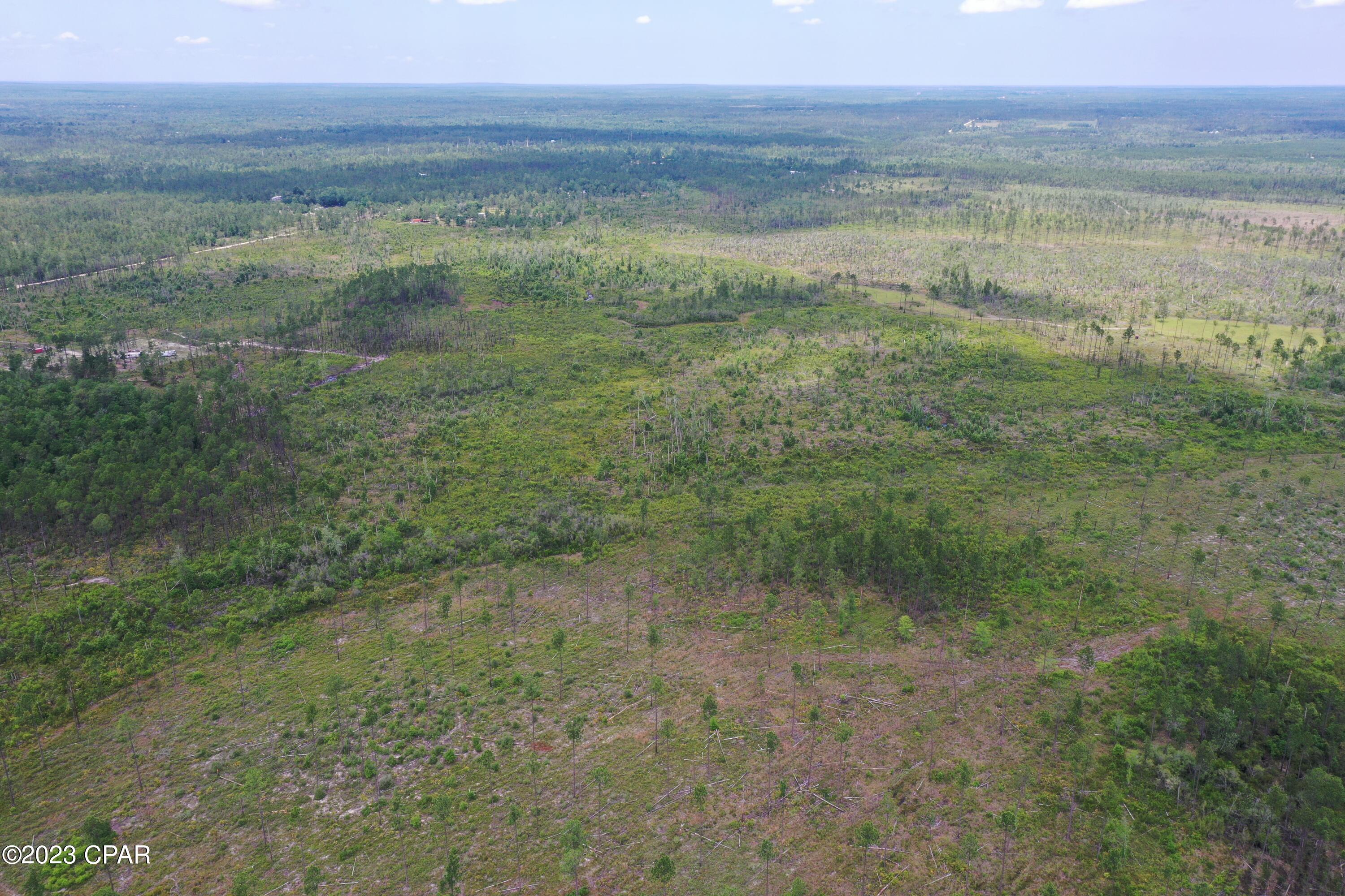 Image 13 For 19732 Timbercrest Road