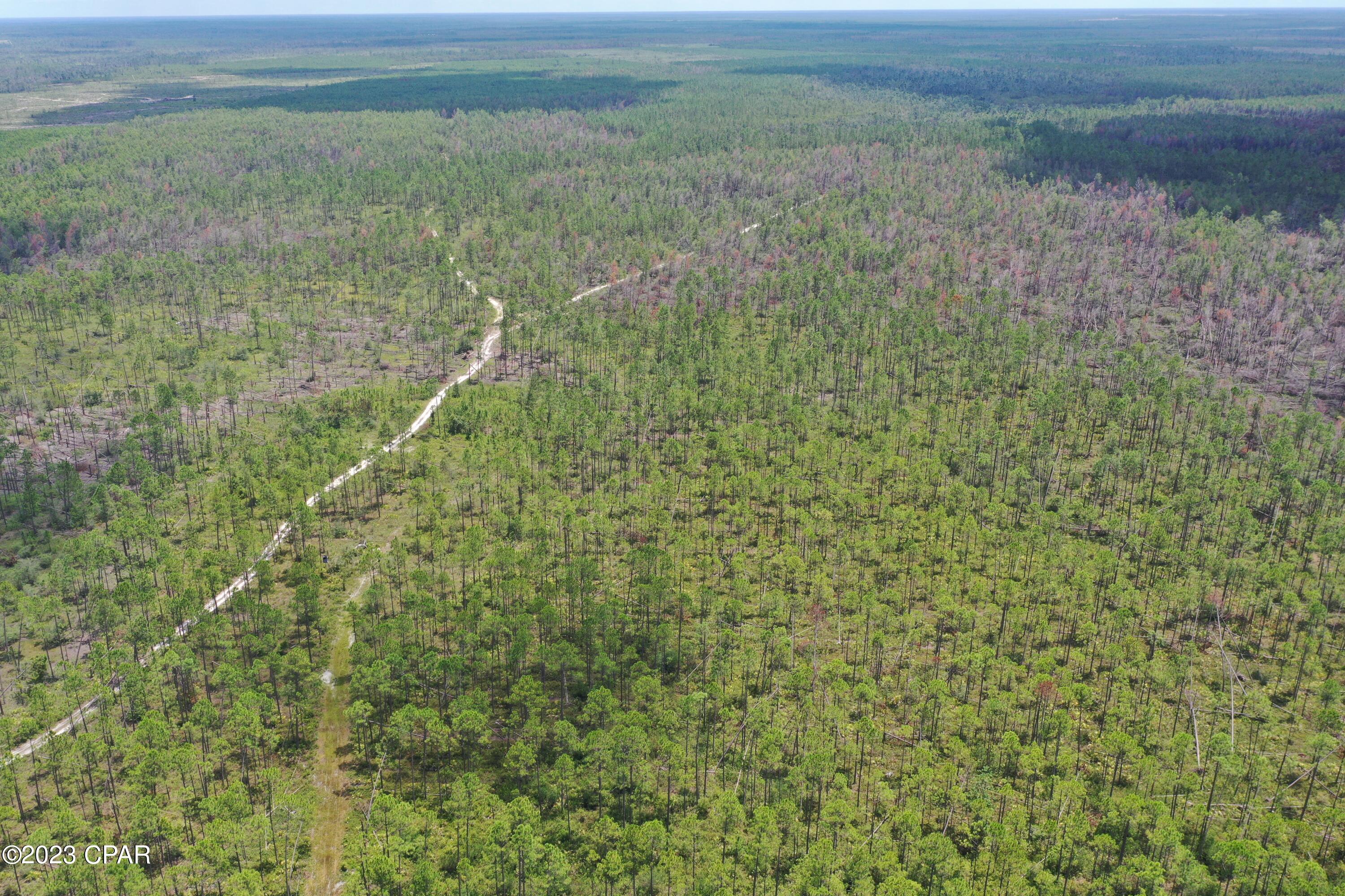 Image 19 For 19732 Timbercrest Road