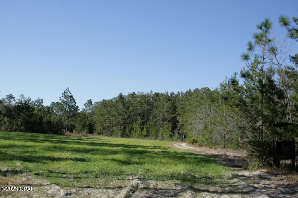 Image 39 For 19732 Timbercrest Road