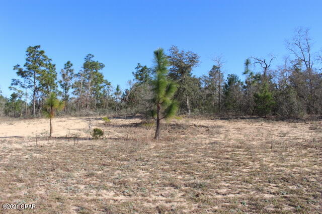 Image 7 For 0 Alhambra Drive Lot 5