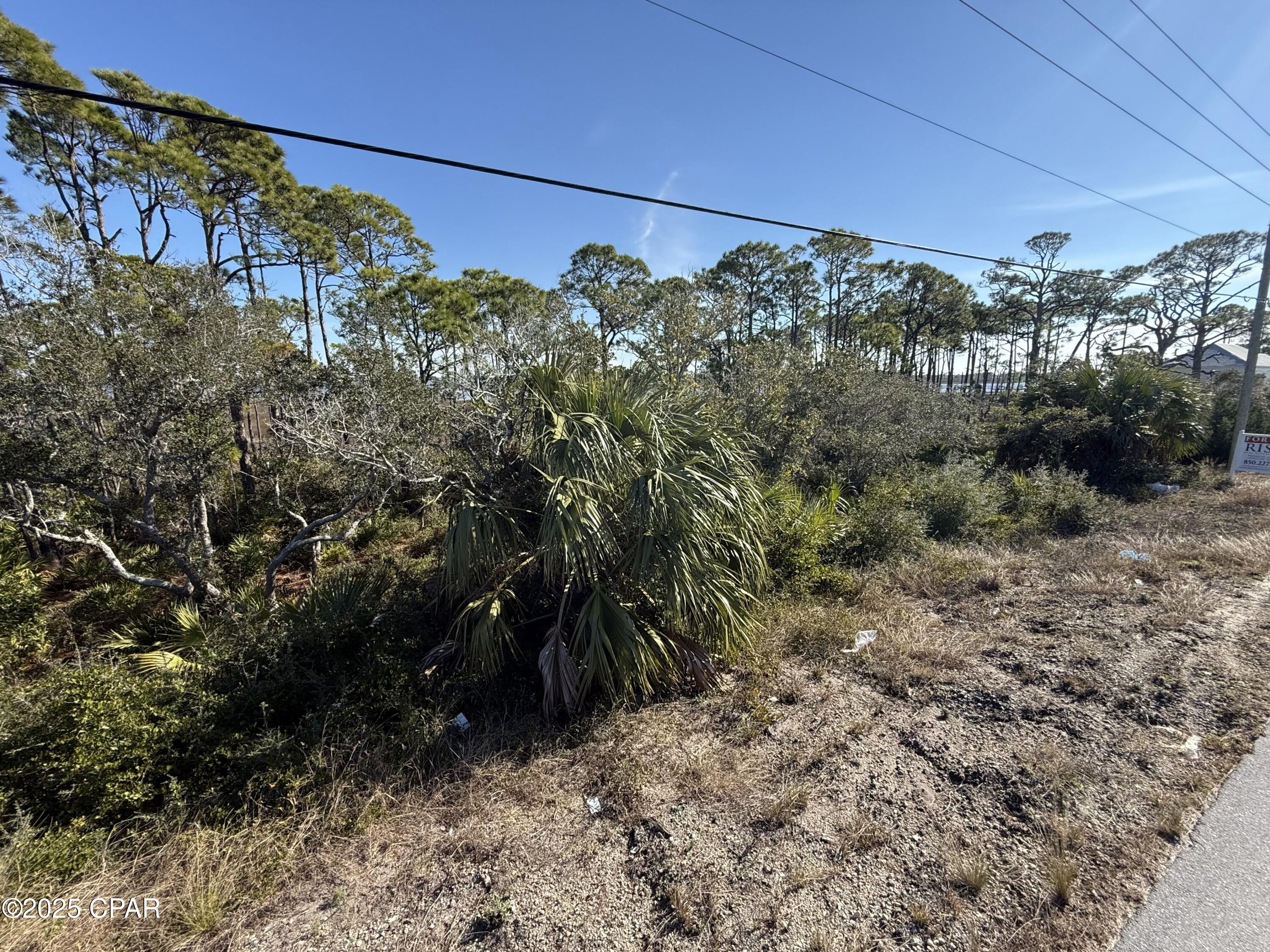 Image 10 For Lot 6 Cape San Blas Rd