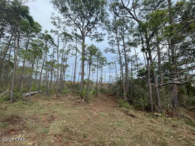 Image 2 For Lot 6 Cape San Blas Rd
