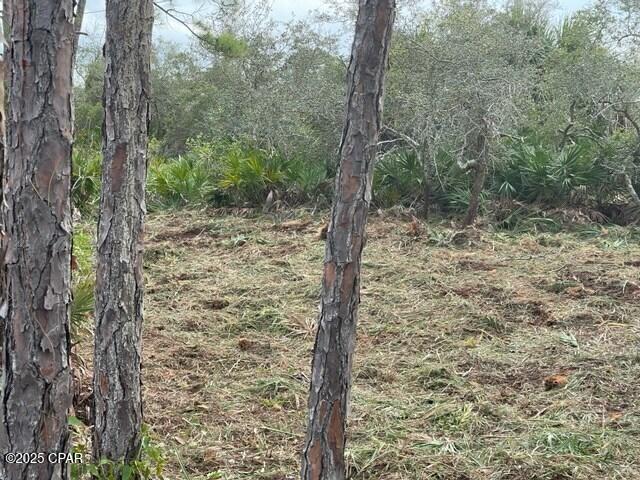 Image 3 For Lot 6 Cape San Blas Rd