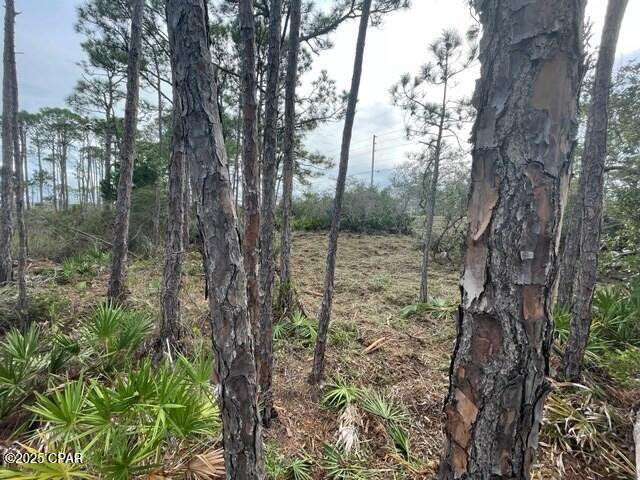 Image 4 For Lot 6 Cape San Blas Rd