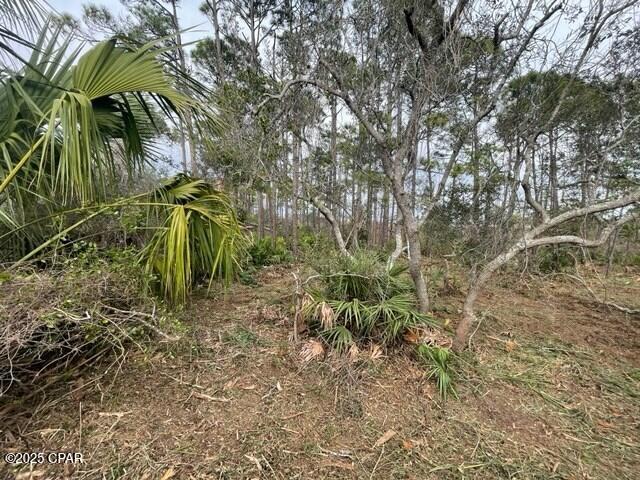 Image 5 For Lot 6 Cape San Blas Rd