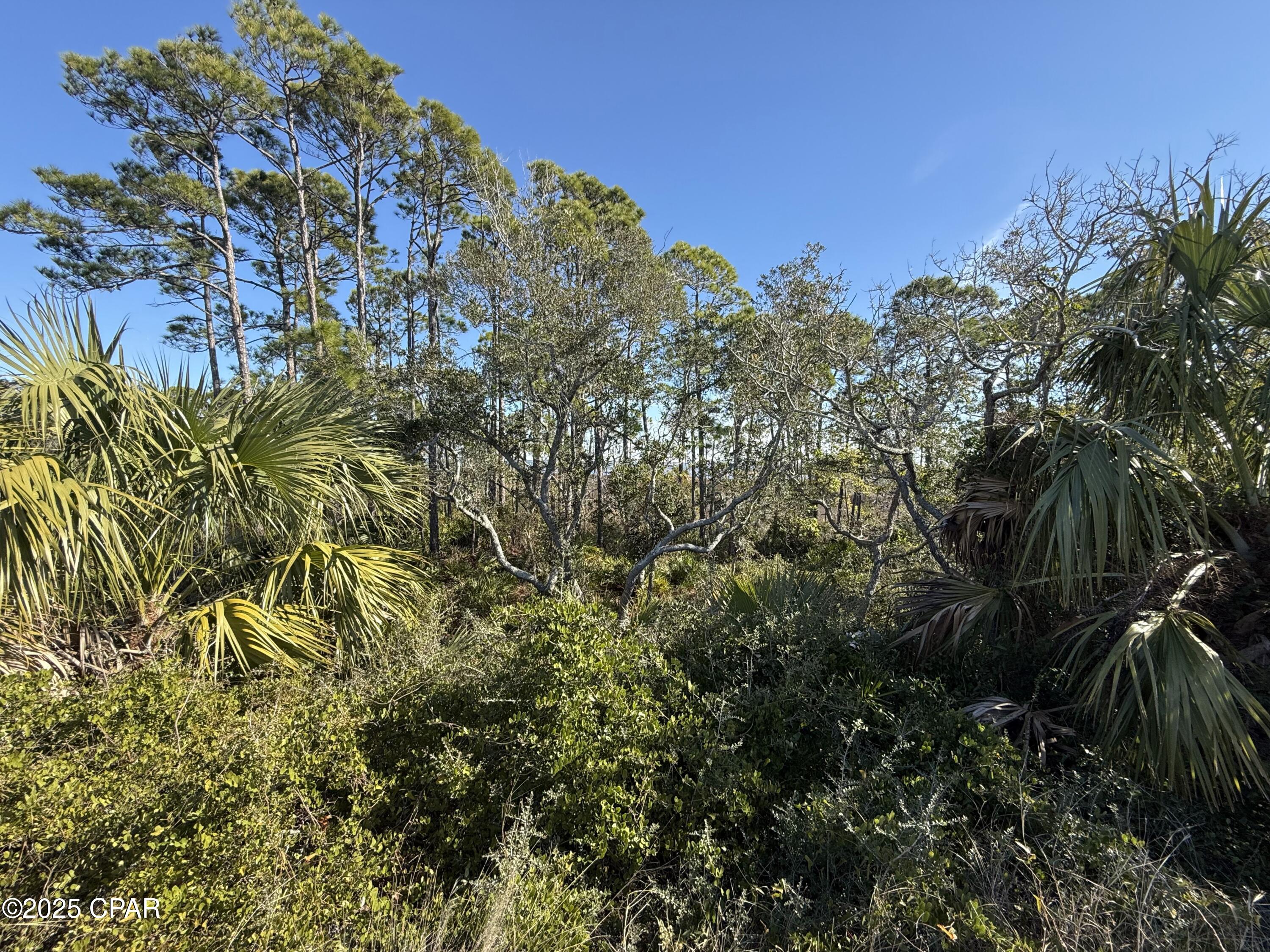 Image 6 For Lot 6 Cape San Blas Rd