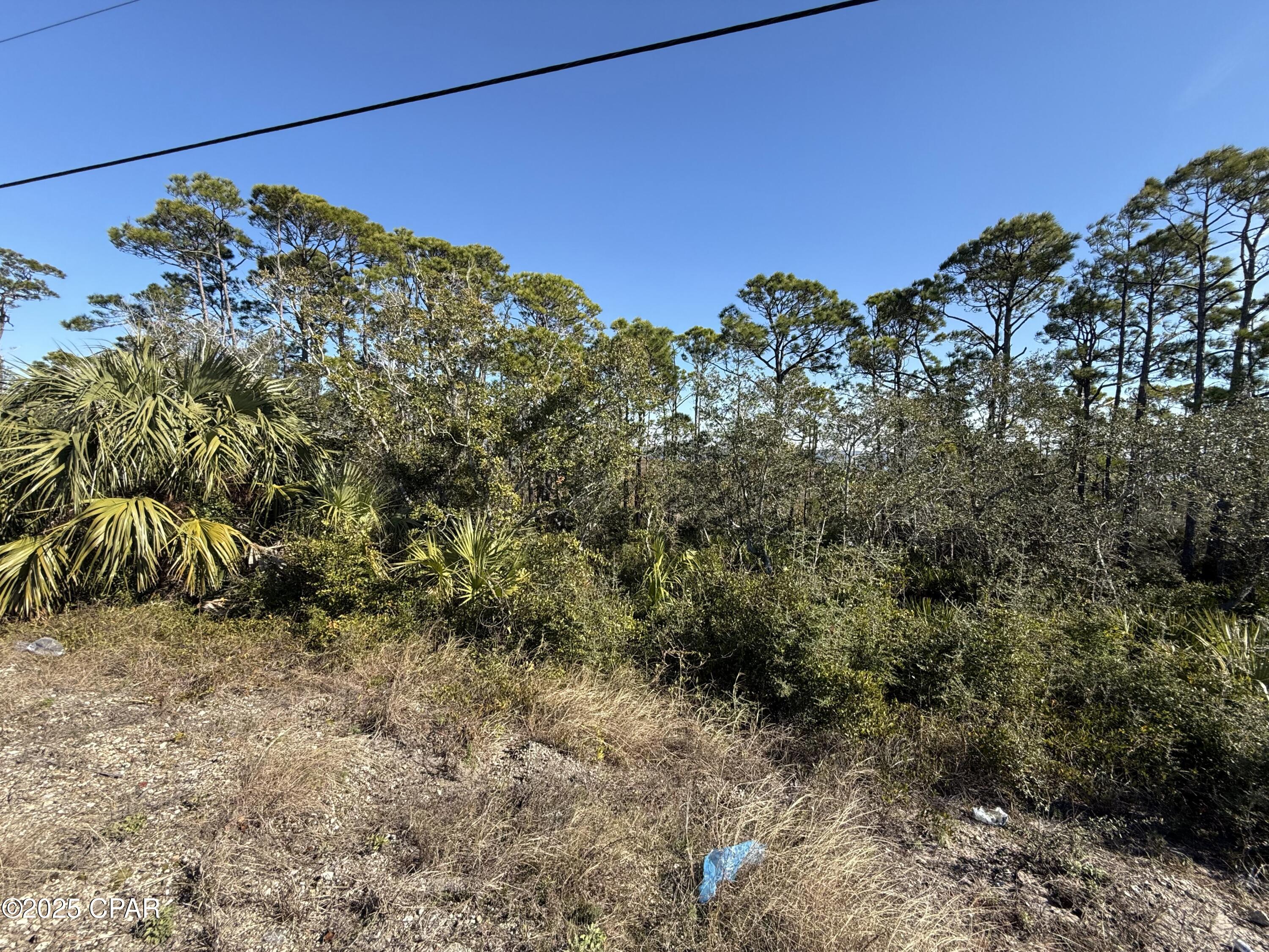 Image 7 For Lot 6 Cape San Blas Rd