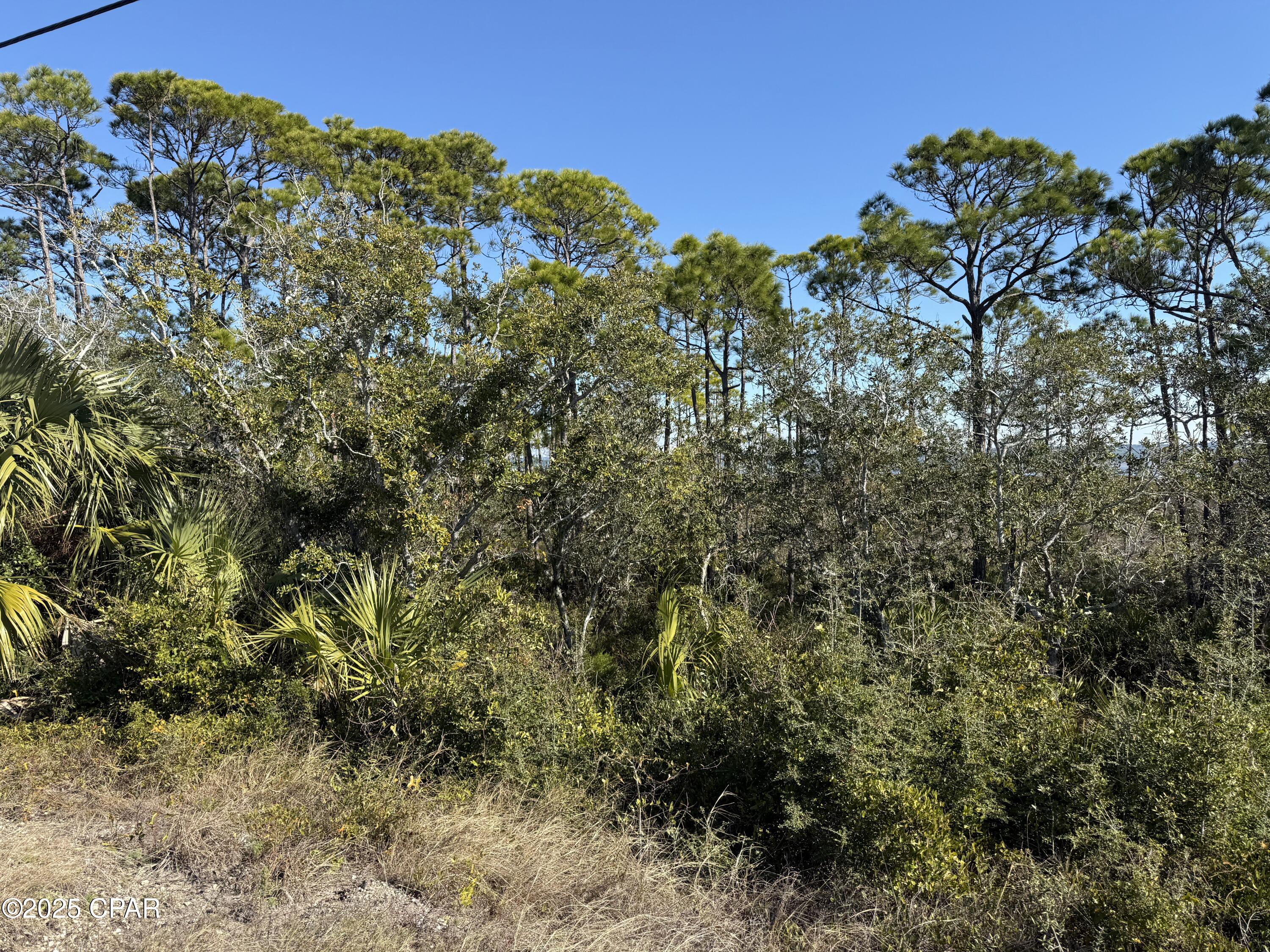 Image 8 For Lot 6 Cape San Blas Rd