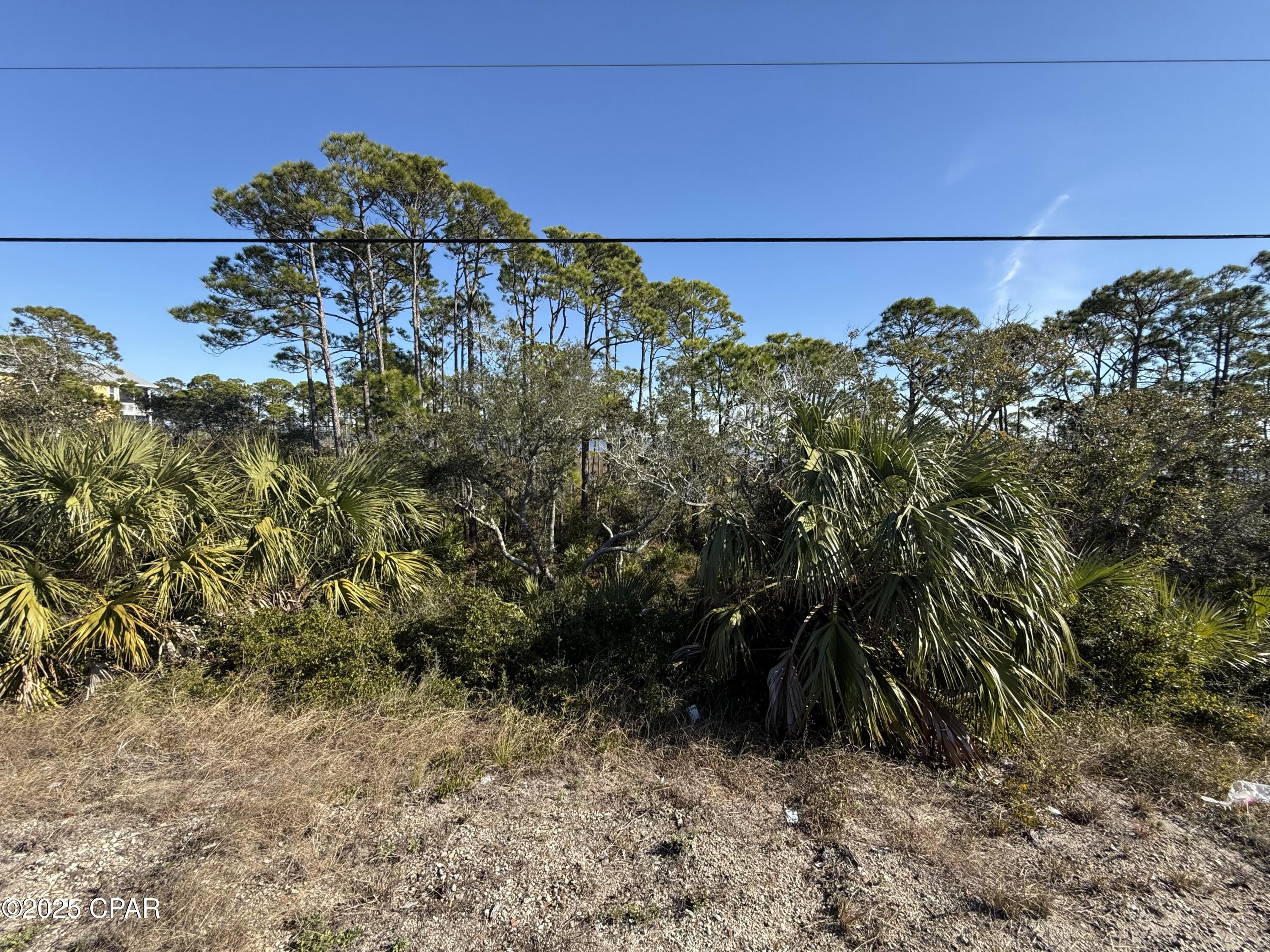 Image 9 For Lot 6 Cape San Blas Rd