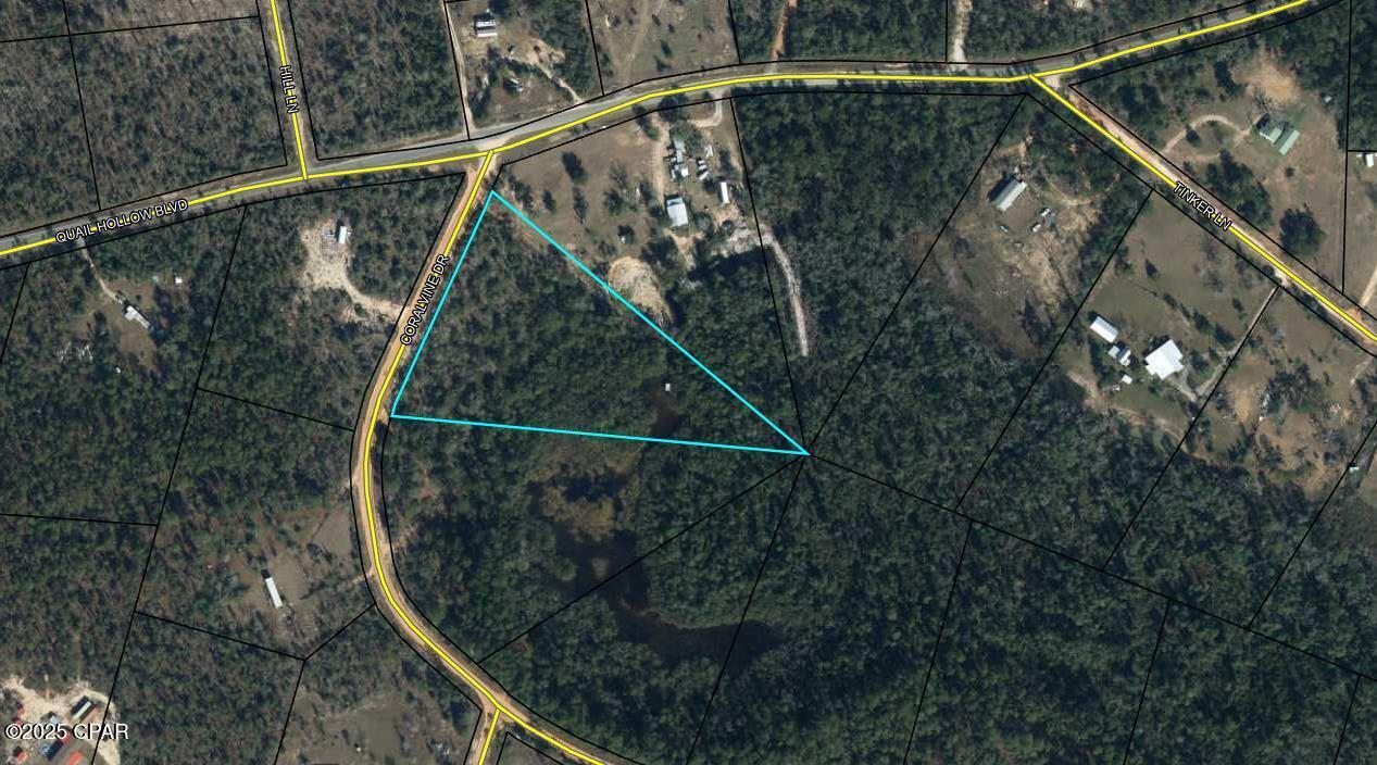 Listing Details for Tbd Coralvine, Chipley, FL 32428
