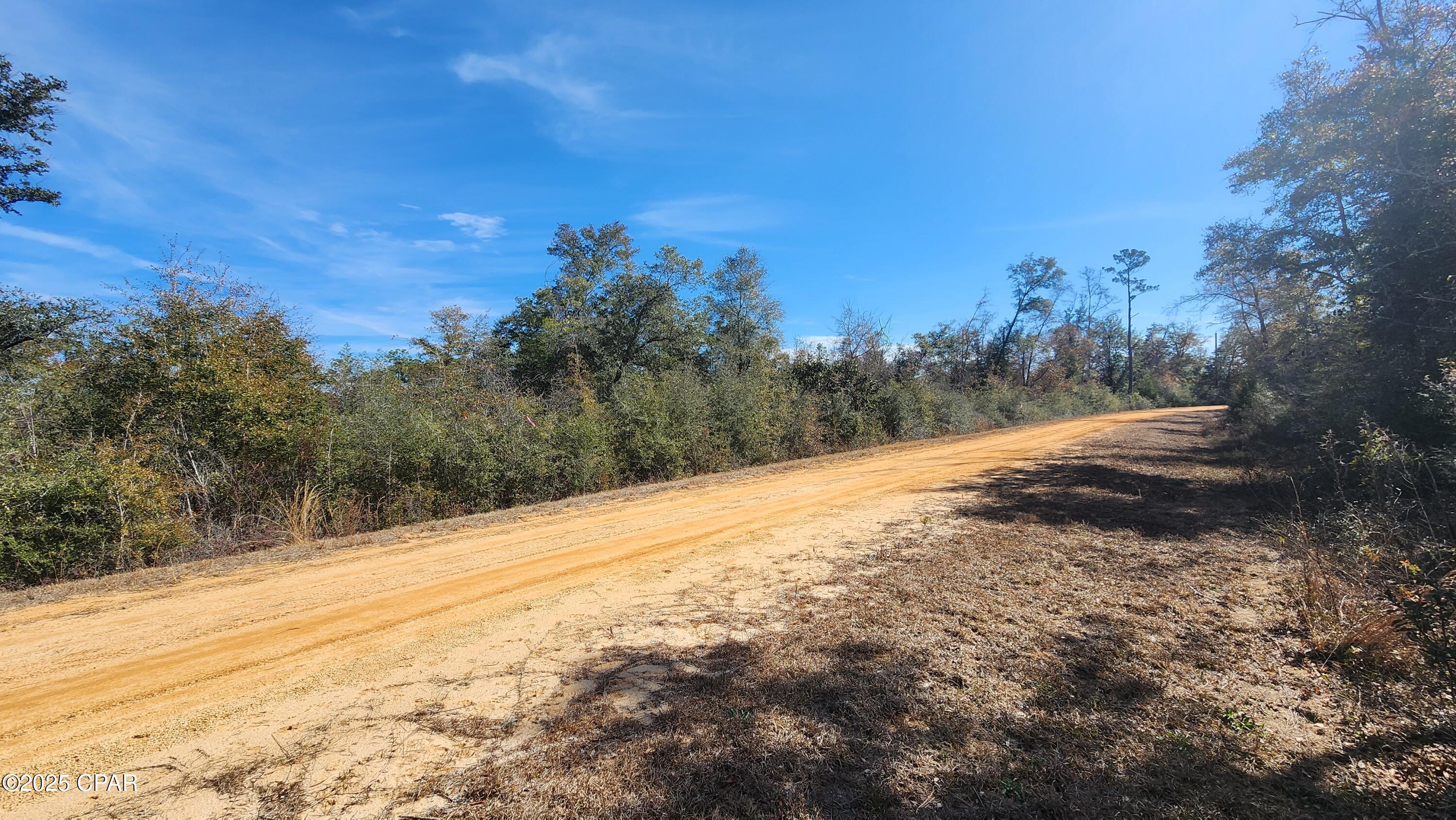 Details for 0 Fargo Drive Lot 14, Alford, FL 32420
