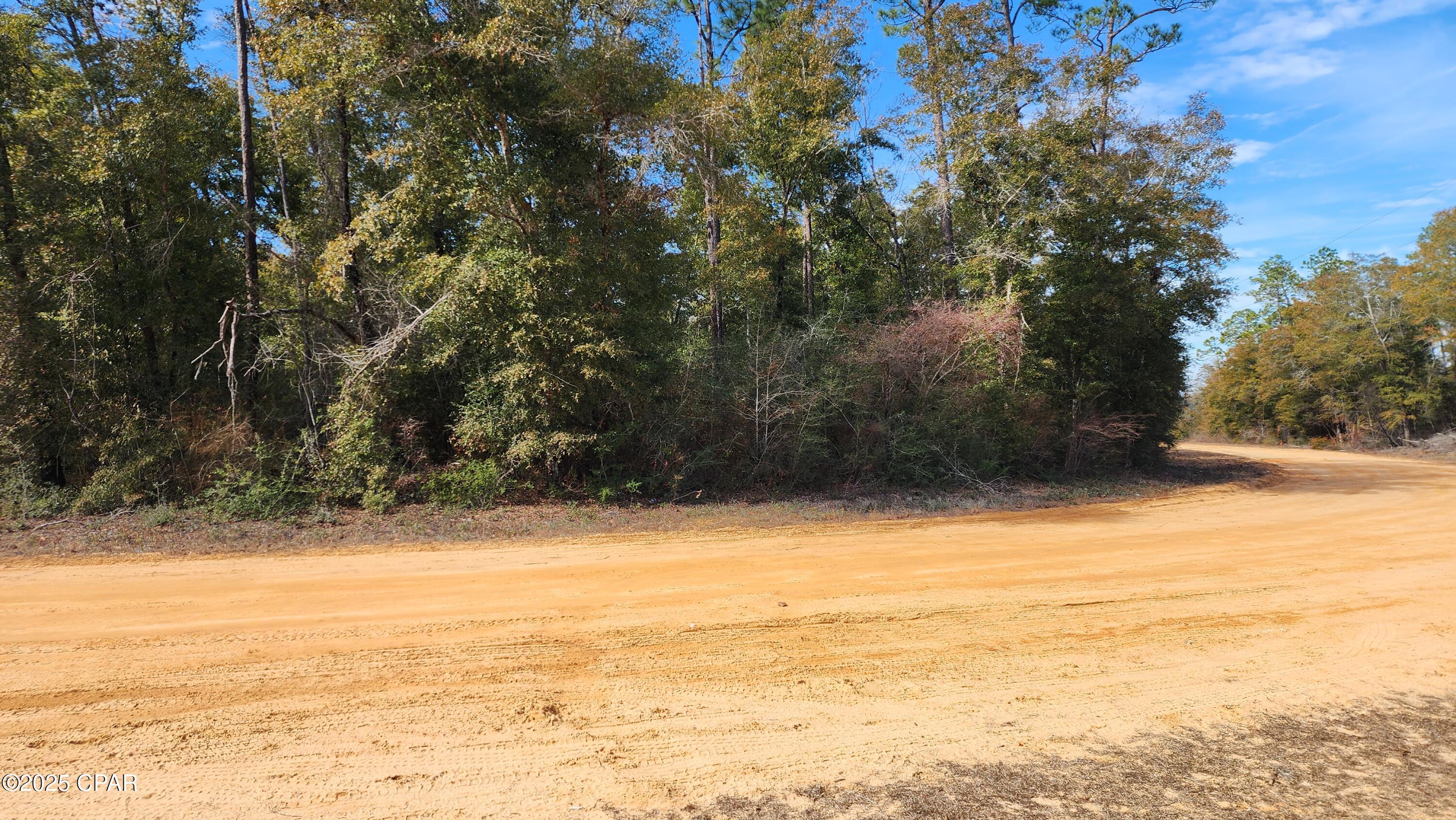 0 Breese Court Lot 29, Alford, FL 32420