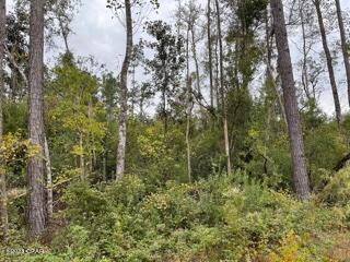 567 Los Padres Avenue, Alford, FL 32420