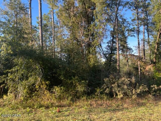 Image 5 For 567 Los Padres Avenue