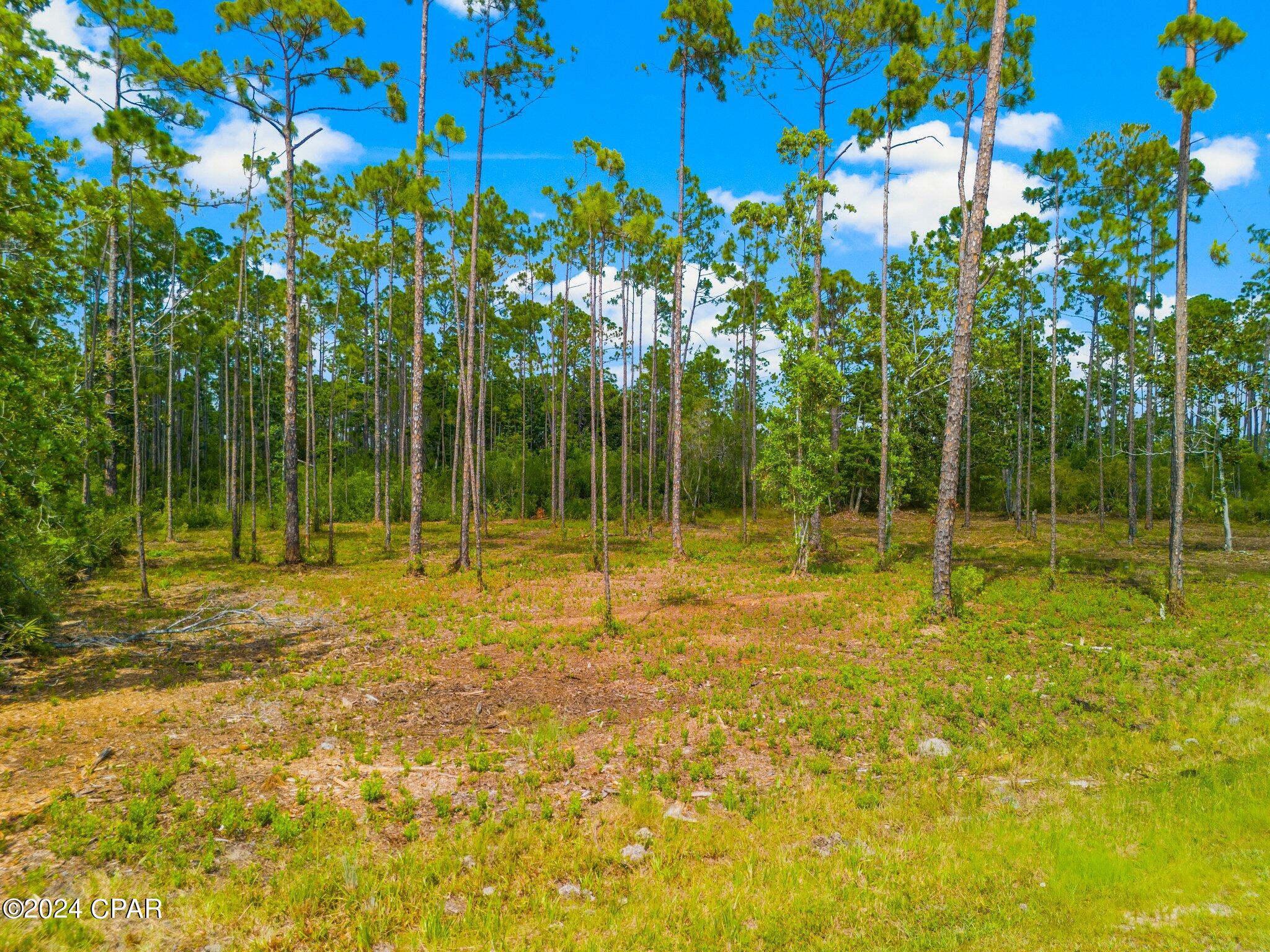 Homes for sale in Panama City, FL | 925 Watermark Way, Panama City, FL 32404 | MLS# 758610