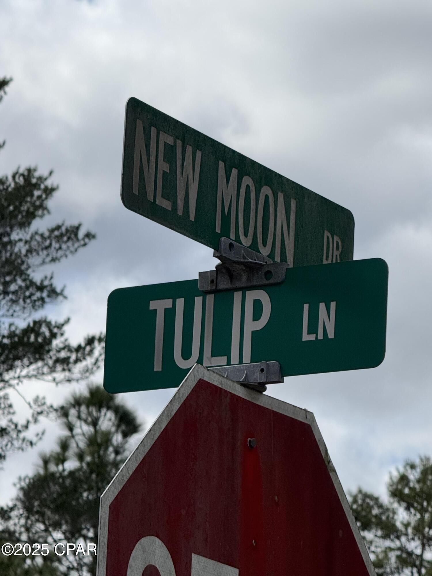 Image 3 For 0 Newmoon Drive