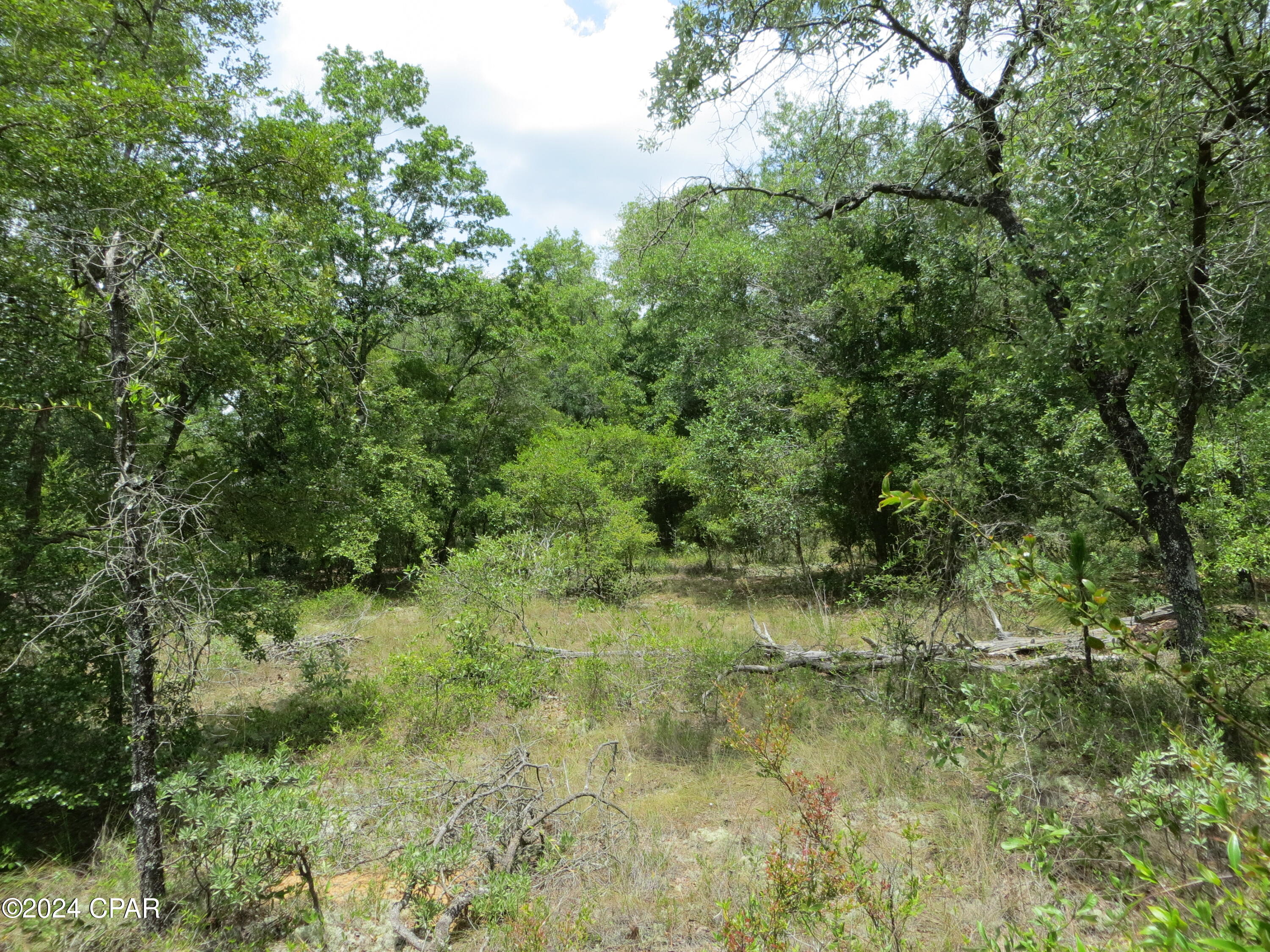 Image 2 For 0000 Moss Hill Road