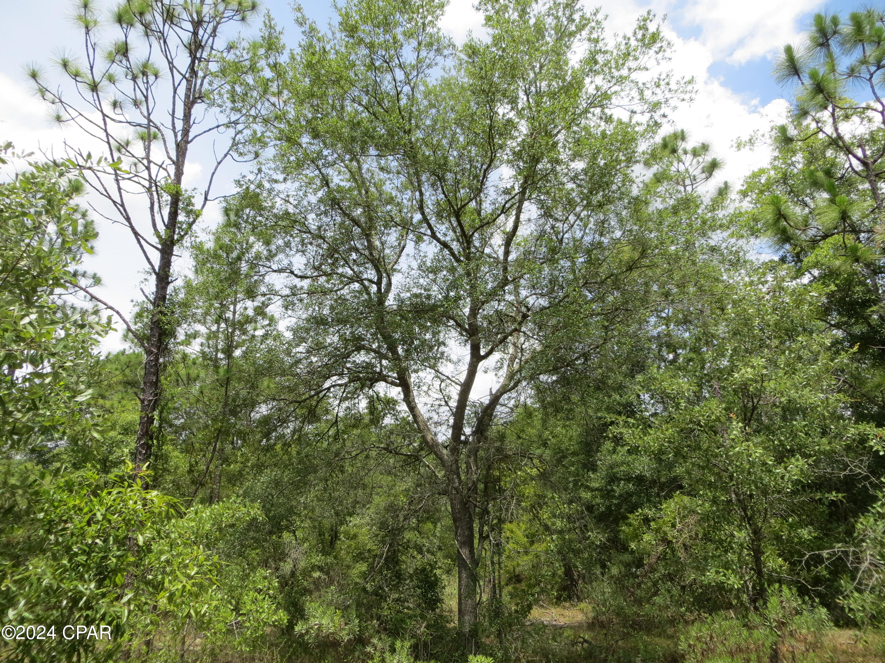 Image 3 For 0000 Moss Hill Road