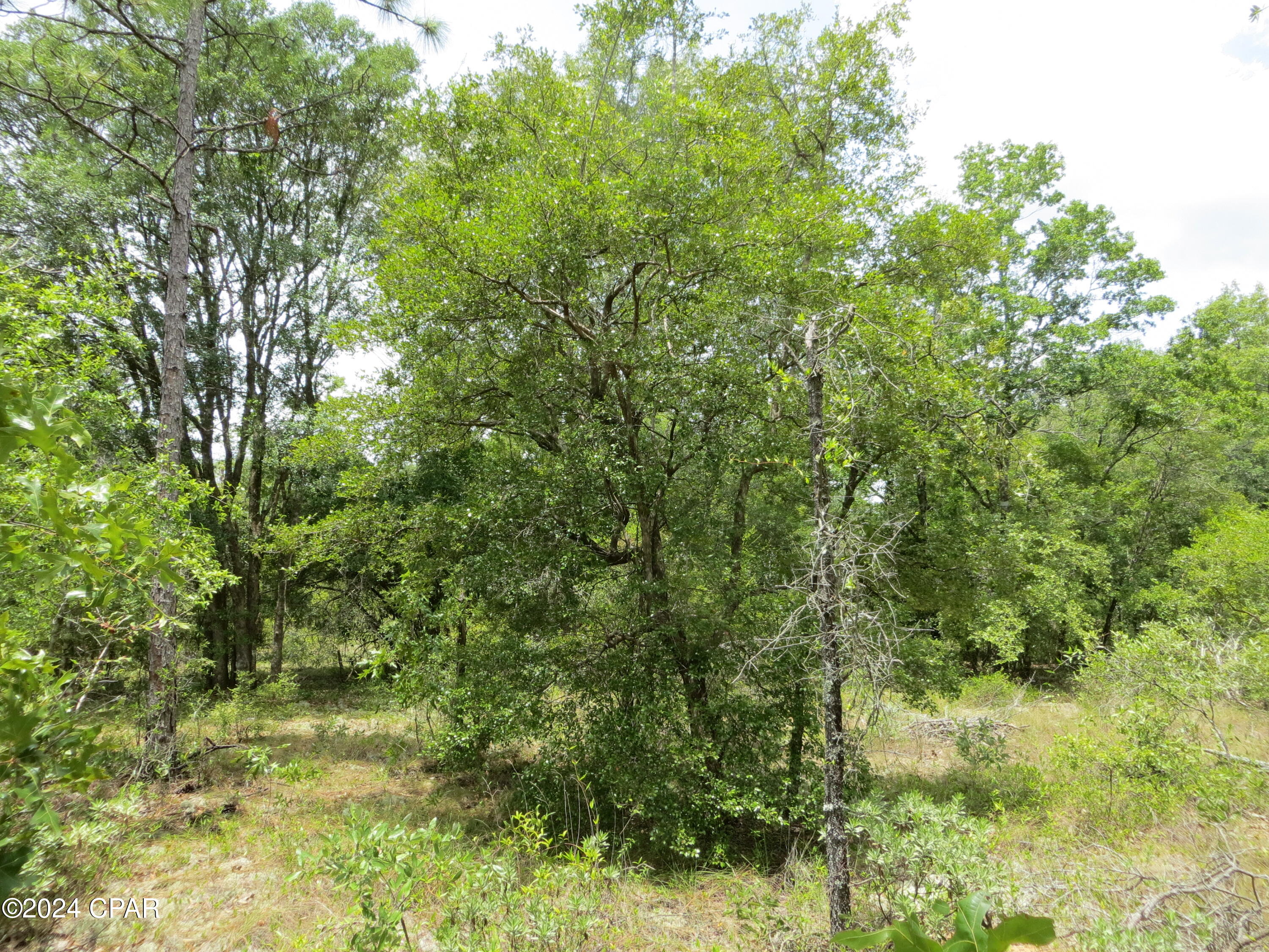 Image 4 For 0000 Moss Hill Road