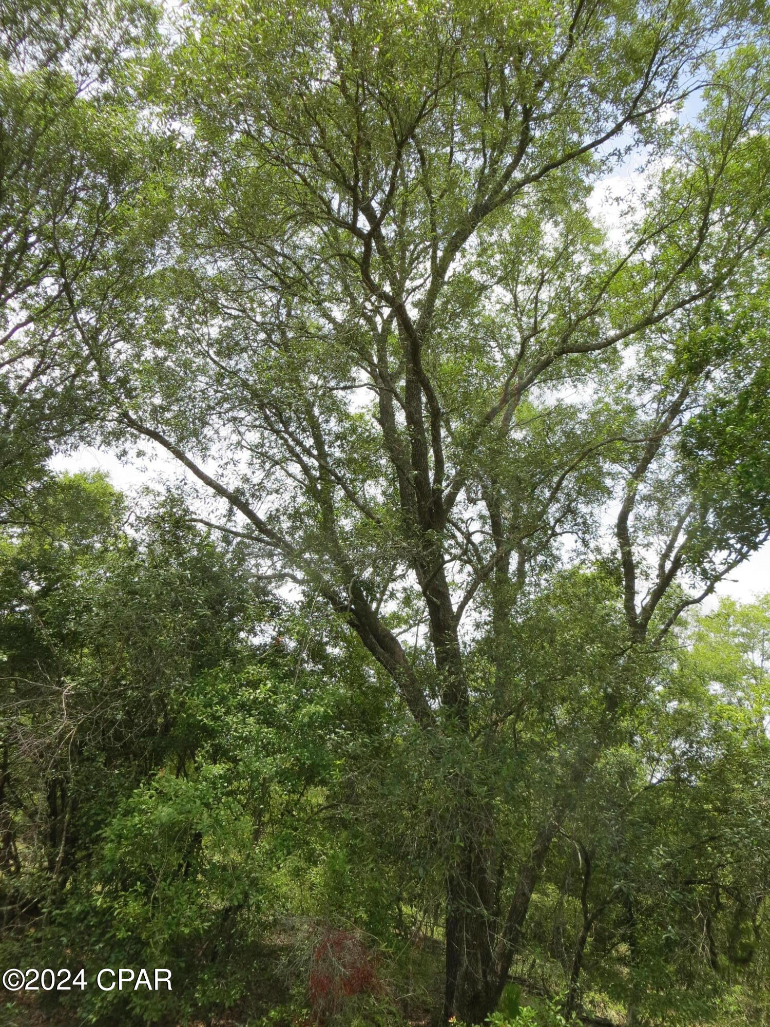 Image 7 For 0000 Moss Hill Road