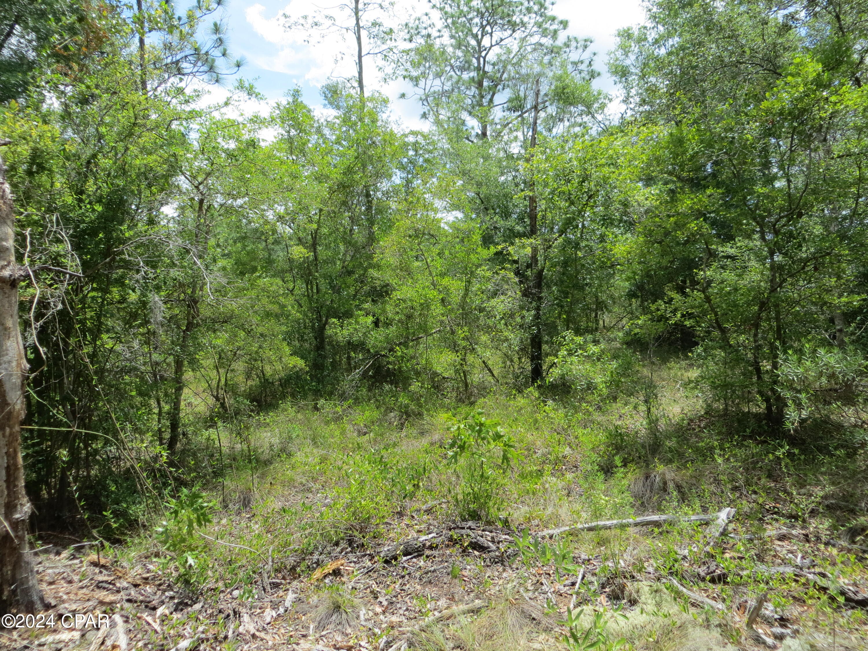 Image 8 For 0000 Moss Hill Road