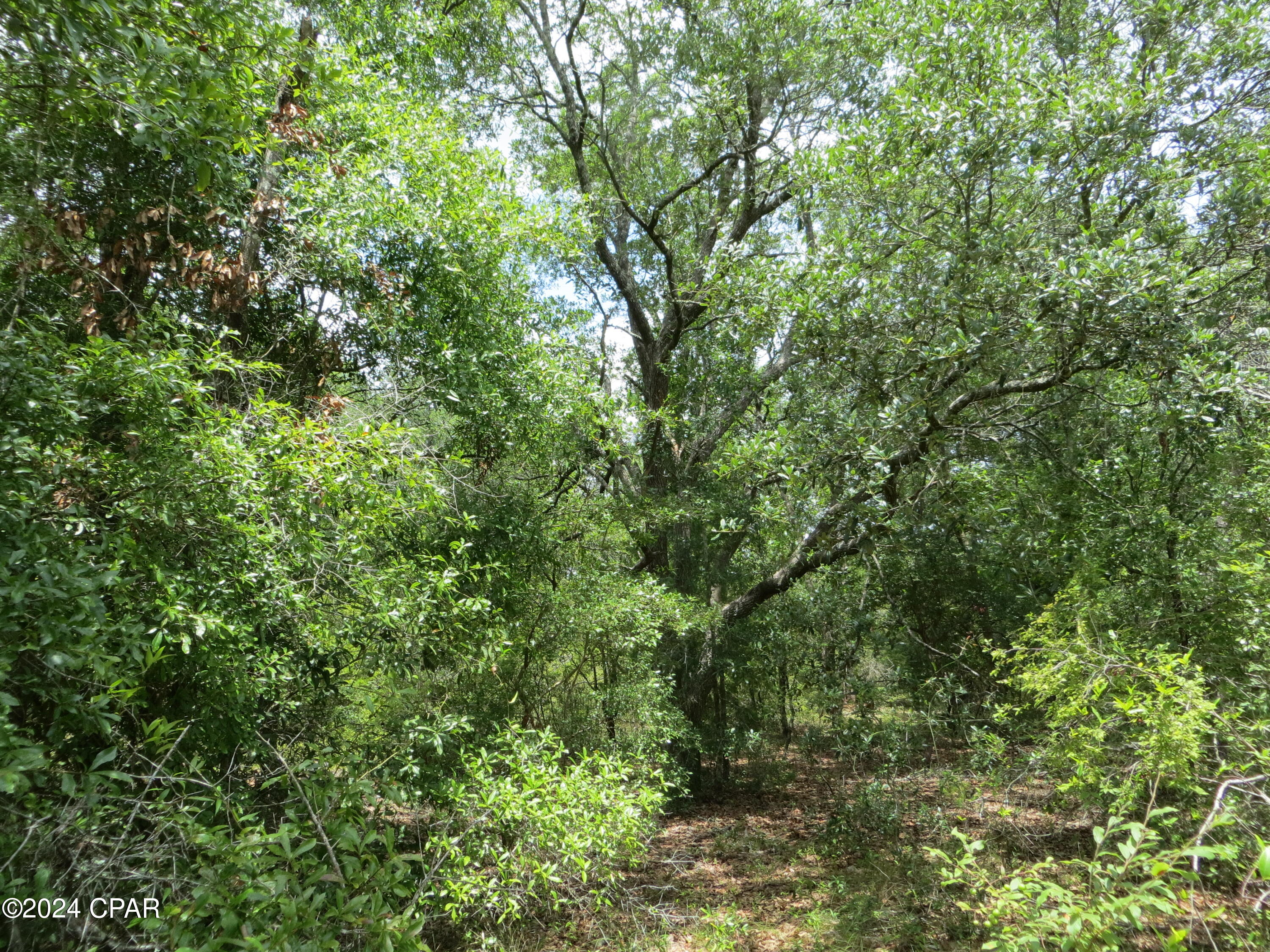 Image 9 For 0000 Moss Hill Road