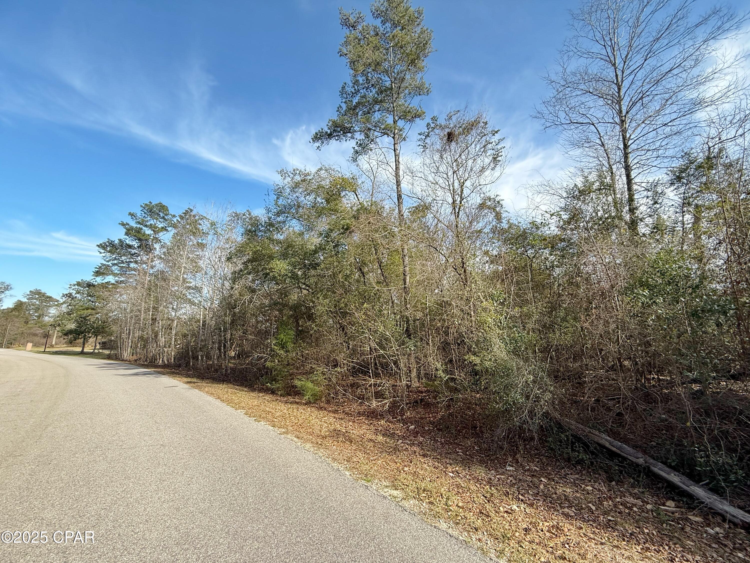 Details for 00 Oak Drive, Marianna, FL 32446