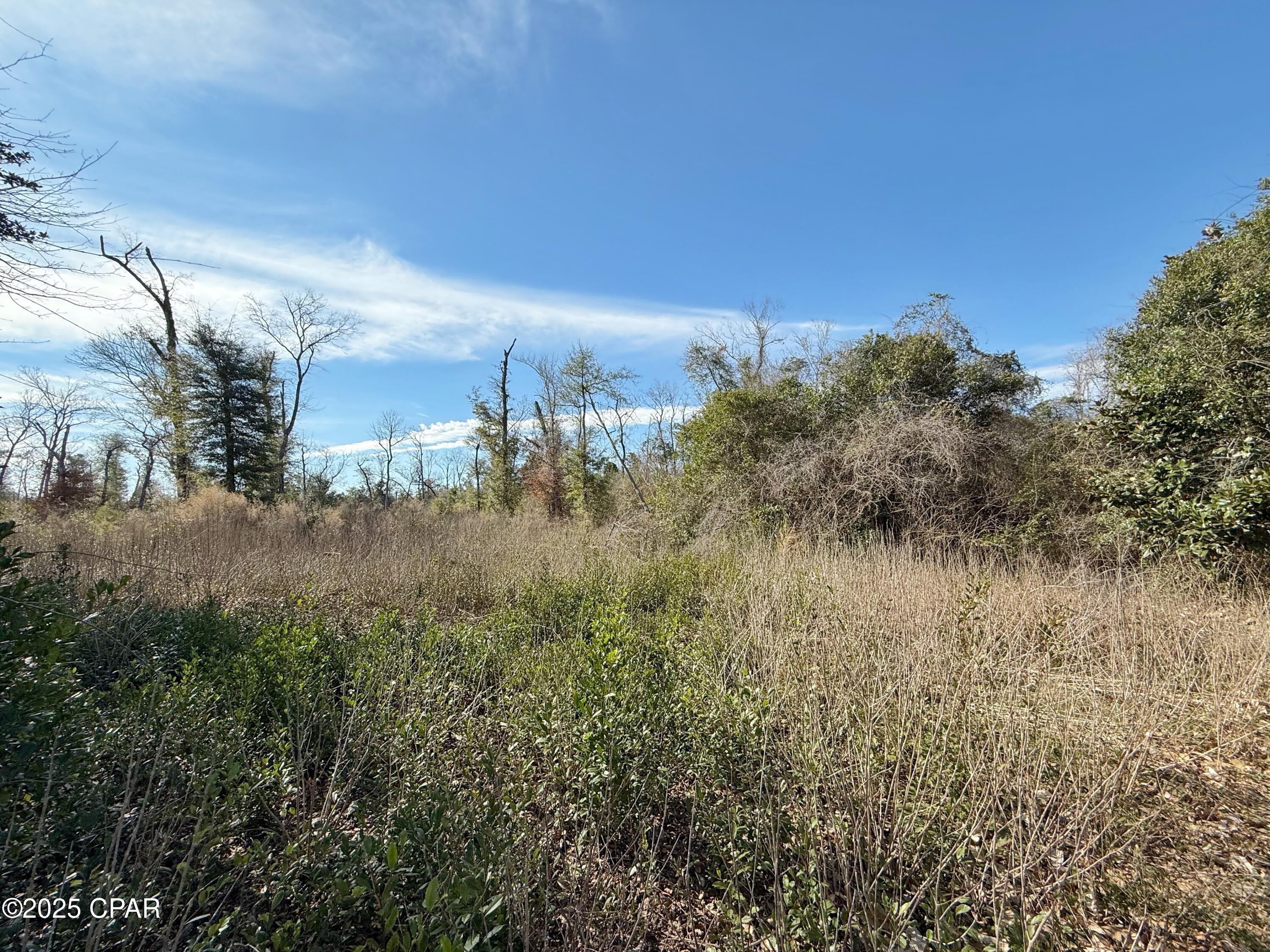 Image 4 For 00 Oak Drive