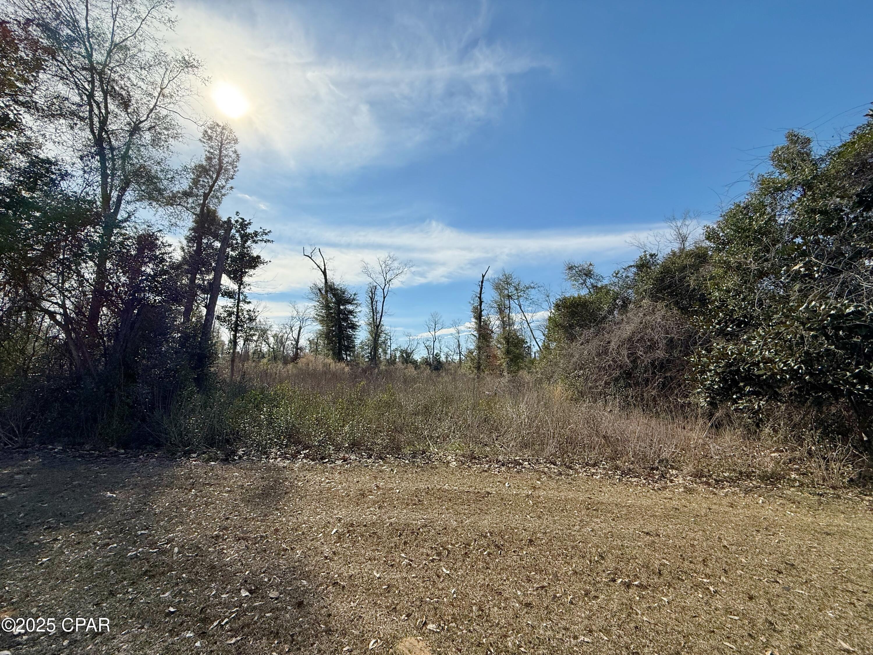 Image 6 For 00 Oak Drive