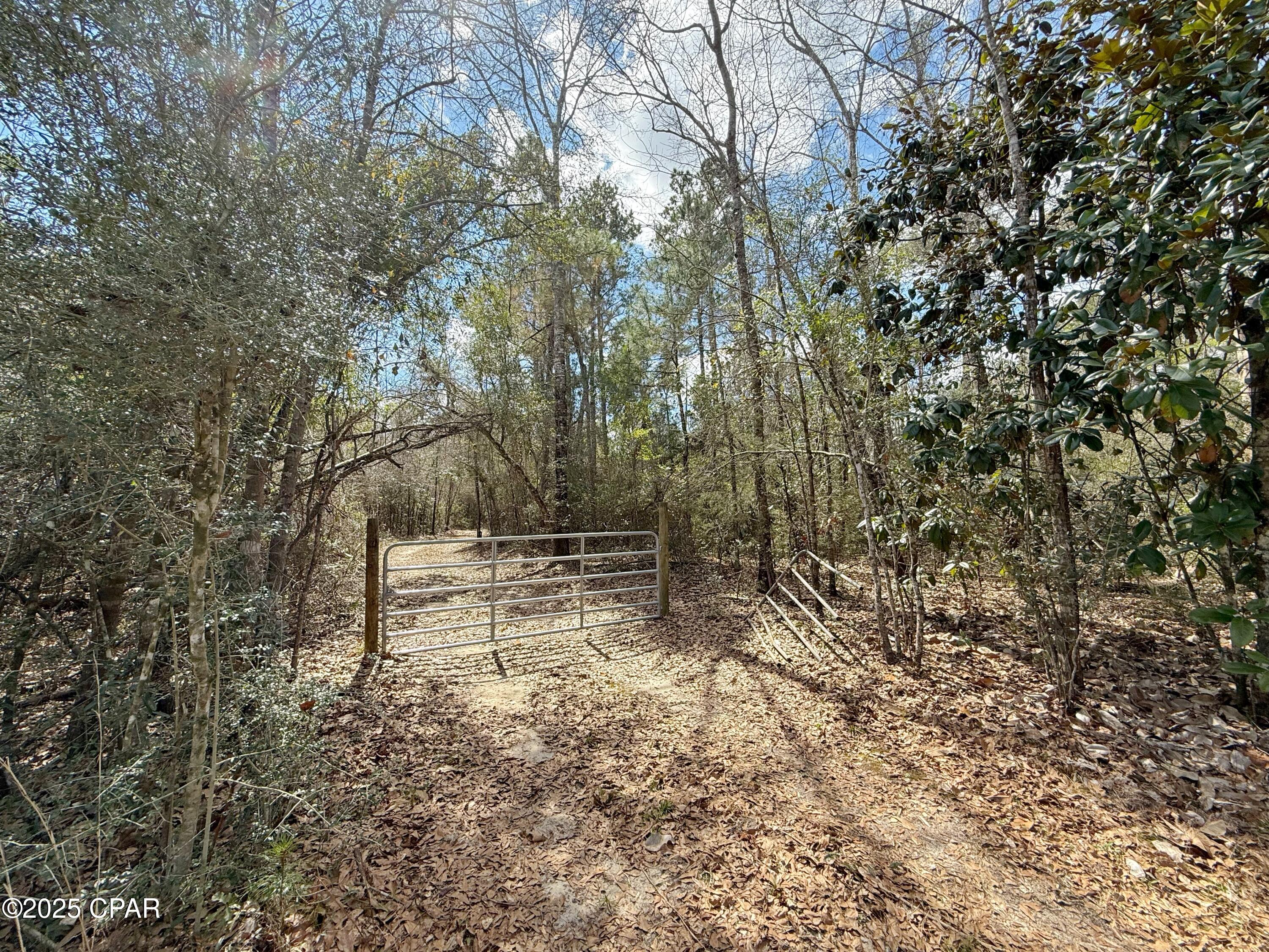 Image 10 For 00 Lovewood Road